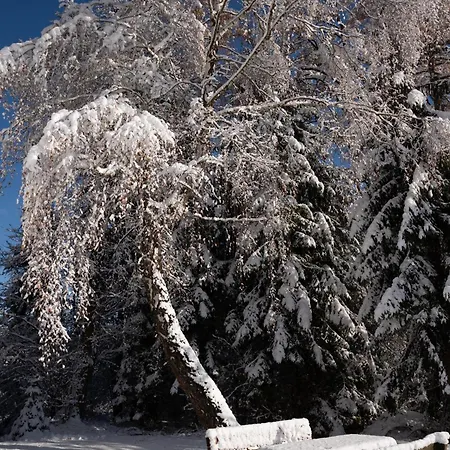 Gregor's Im Wald * Edelschrott