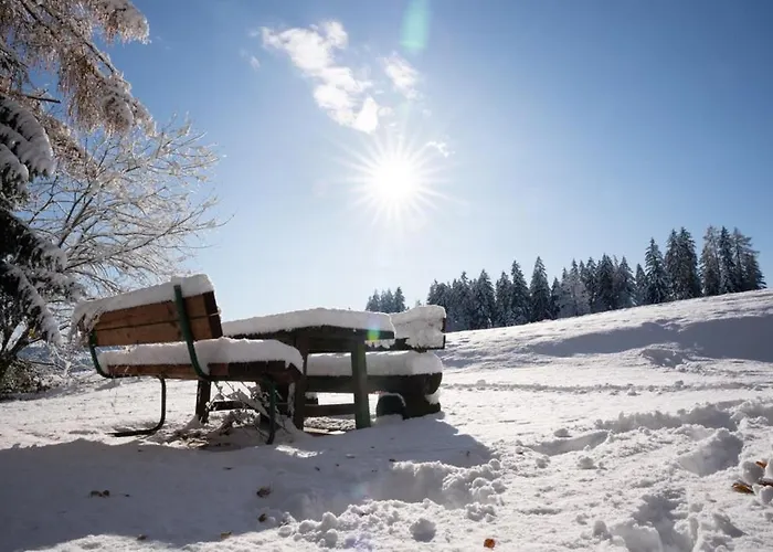 Gregor's Im Wald Tatil Evi