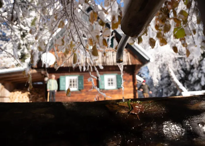 Gregor's Im Wald Edelschrott