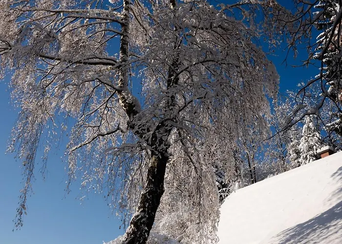 Gregor's Im Wald Tatil Evi *