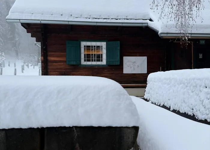 Tatil Evi Gregor's Im Wald