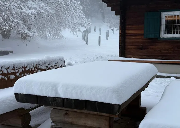 Tatil Evi Gregor's Im Wald *